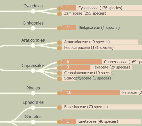 PubPlant - all the sequenced plant genomes